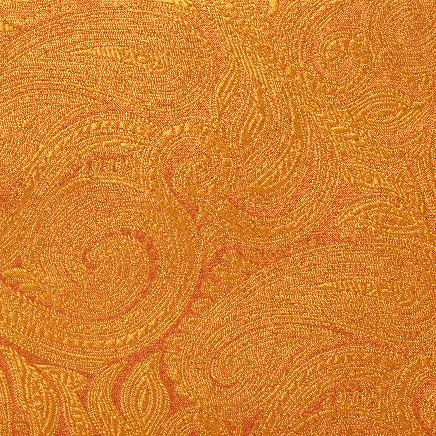 Burnt Orange Paisley Woven Silk Tie
