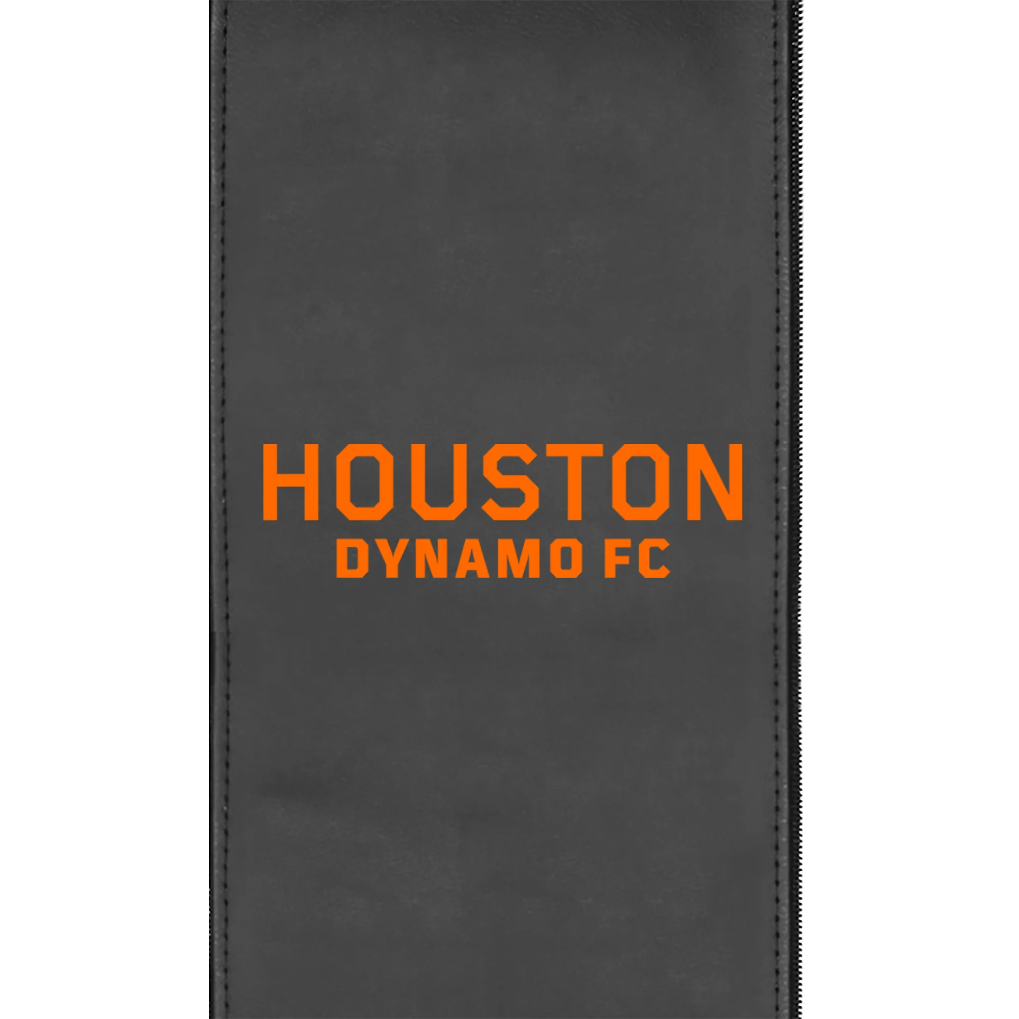 Houston Dynamo Wordmark Logo Panel